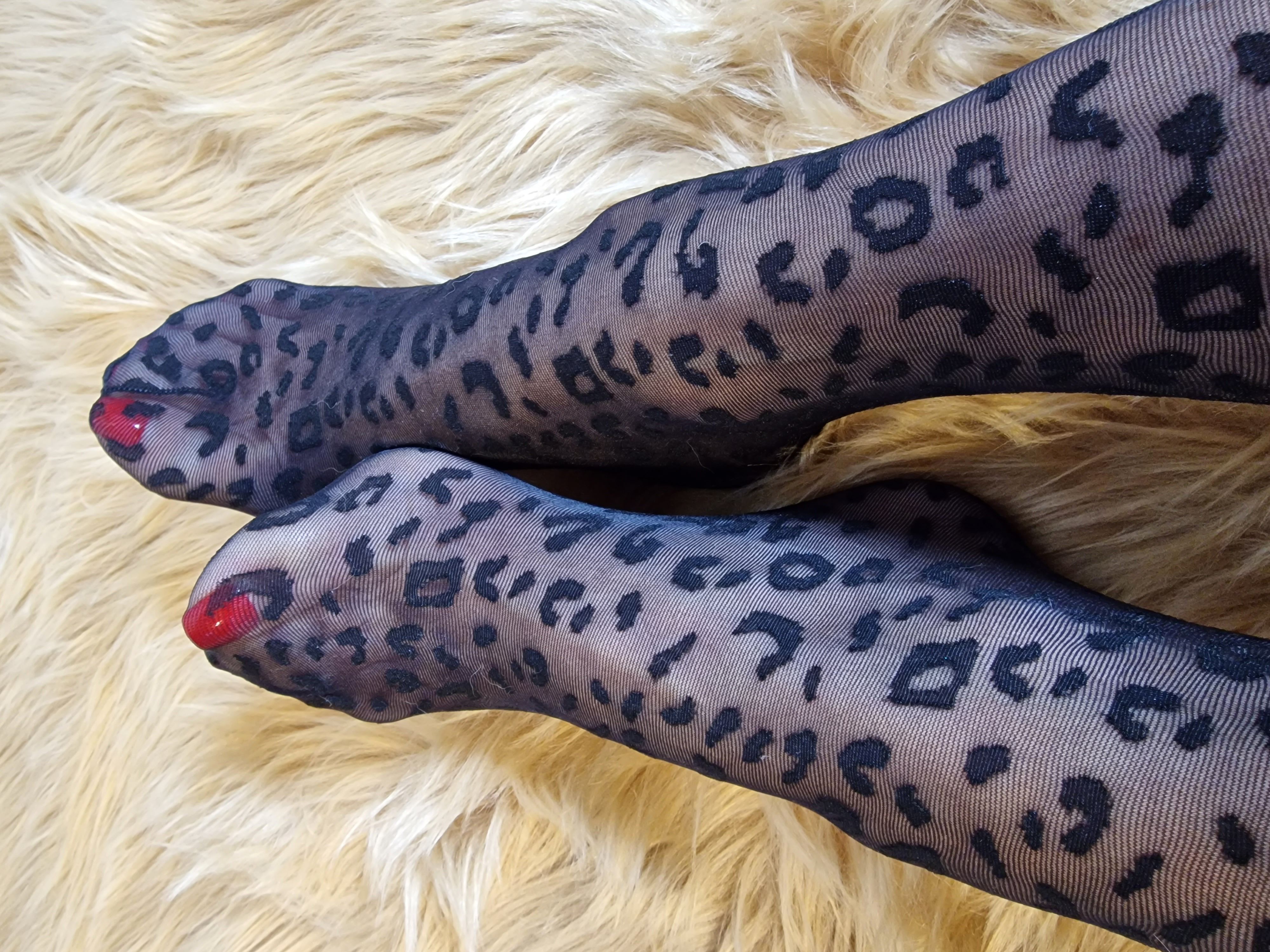 ***verkauft*** Meine Leo-Nylon